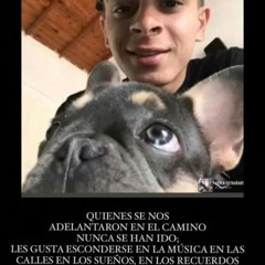 PARA SIEMPRE EN LOS CORAZONES (EN HONOR A MATEO GUZMÁN) #04 🕊️🙏🏻