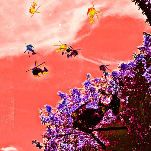 Pølice łn Hɇlicopter