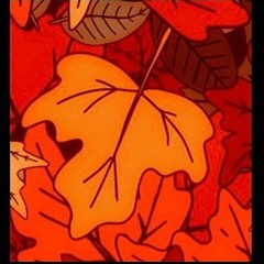 Autumn Leaf (Sketch 1)