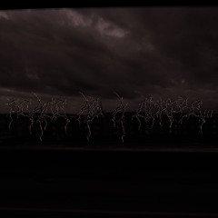 swallowed by melancholy