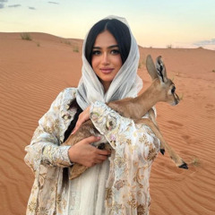 احب البر والمزيون