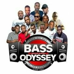 Bass Odyssey 8/23 (Rototom Sunsplash)