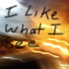 I Like What I See (prod. Manu)