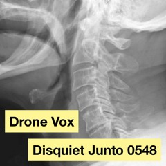 halF dronevoX [disquiet0548]