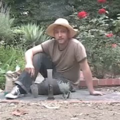 BENNING - GARDENING ON SALVIA