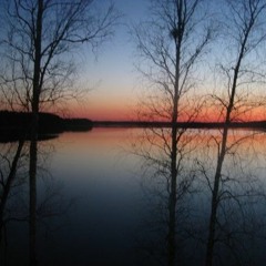 Maan Koti DEMO (itsenäisyyspäivä)