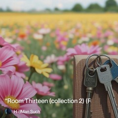 “room thirteen (collection-2) fresh