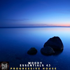 Moody Essentials 43 ~ #ProgressiveHouse #MelodicTechno