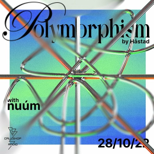 Polymorphism Vol. 1 - nuúm 28.10.22
