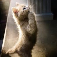 nie zrobisz (koby remix)