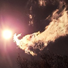 Broken Wing