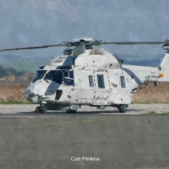 NH90NFH  helicopters