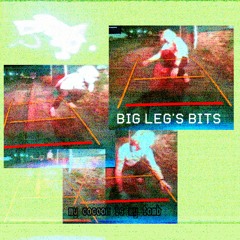 Big Leg's Bits - My Cocoon Is My Tomb [8.10.21]