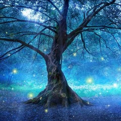 Mystical Rav Forest