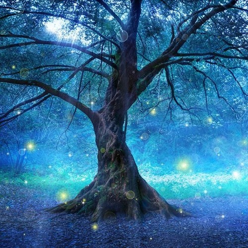 Mystical Rav Forest