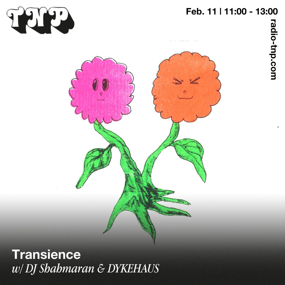 Transience w/ DJ Shahmaran & DYKEHAUS