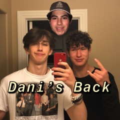 Dani's Back