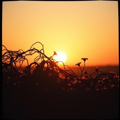 Endlessly drawn to you (Rendition 1)