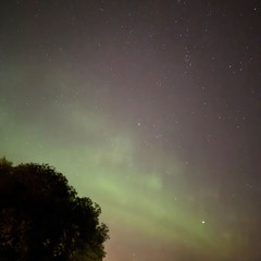 Melodic State Of Nothing #24 I Autumn Nights