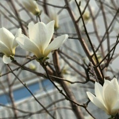 그녀가 처음 울던 날 (밍기뉴 ver.) (Cover)