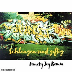 Stieber Twins - Schlangen sind giftig (G. Heimnis Remix)