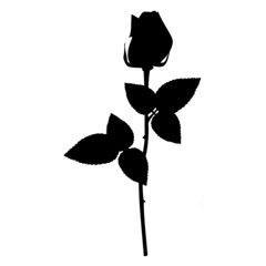 TheRose