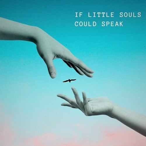 IF LITTLE SOULS COULD SPEAK feat. Megan Conner (Acoustic Remix) ~ free download