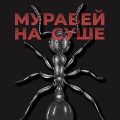 KRBK – Муравей на суше