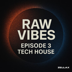 Tech House Heat ⚡🎵 | Raw Vibes Ep. 3 | Live Video on Youtube!