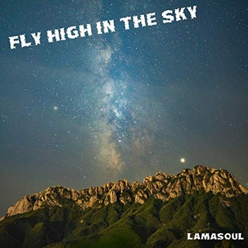 HIGH IN THE SKY (FUTURE HOUSE) No Vocals