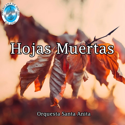Stream Hojas Muertas by Orquesta Santa Anita Listen online for free