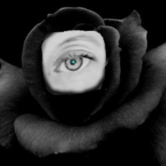 Black Flower Mix
