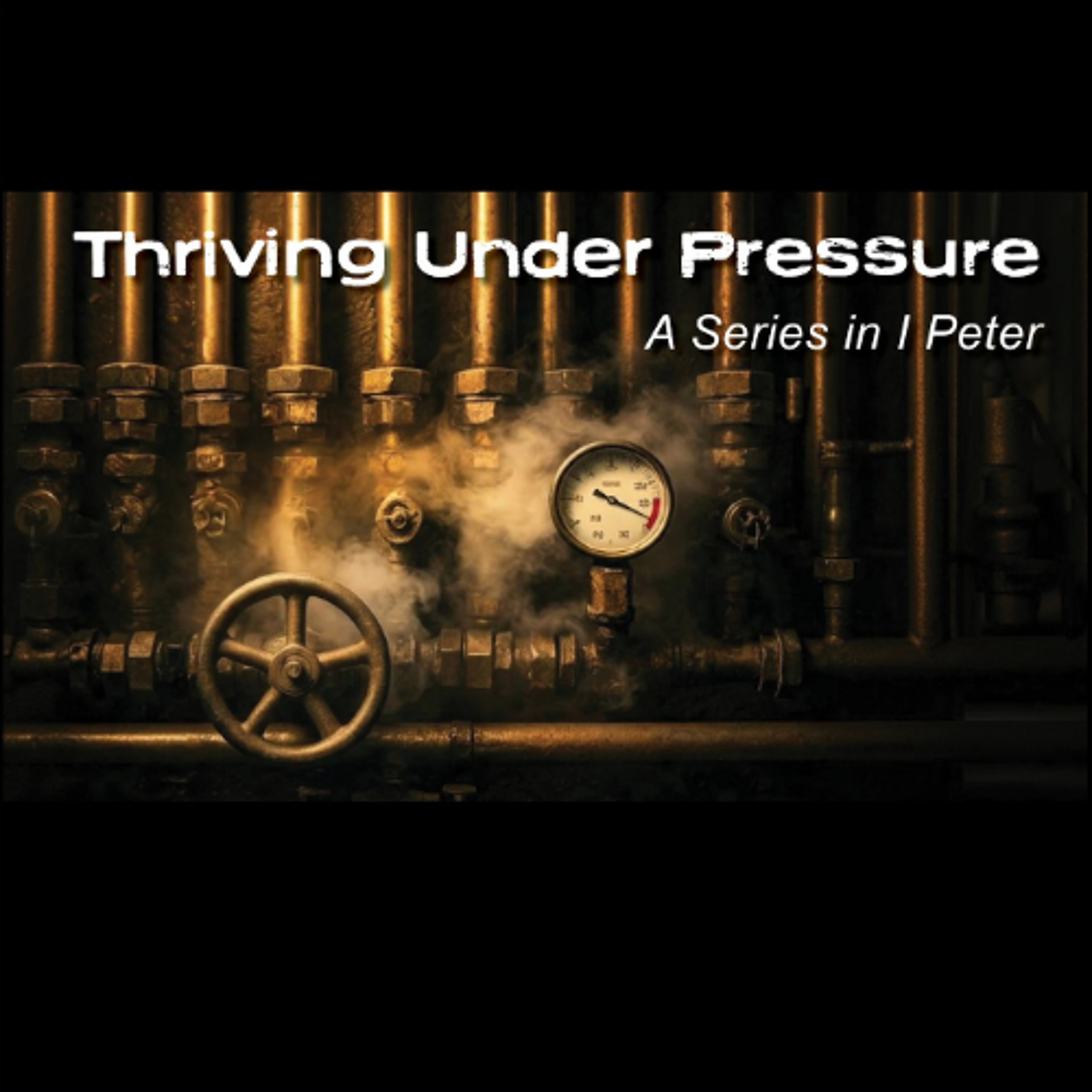 Trinity Episcopal St Augustine, FL