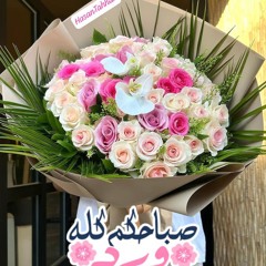 تك تك قلبي وائل كفوري.mp3