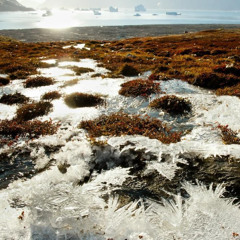 Permafrost