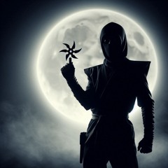 NINJAMAN (Moonlit Phantom)