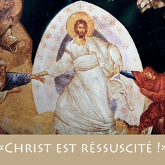 Homélie de la Résurrection du Christ - Dimanche de Pâques - Mgr Martin 2024