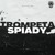 Artwork for Willy William - Trompeta ( Edit Spiady)