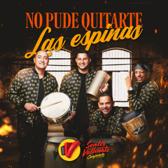 No Pude Quitarte Las Espinas