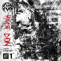 PM RADIO (NTS) ENDGAME & HMX DON (11.09.24)