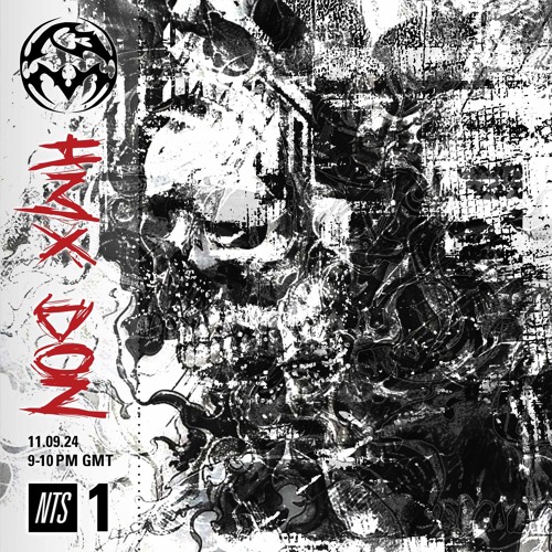 PM RADIO (NTS) ENDGAME & HMX DON (11.09.24)