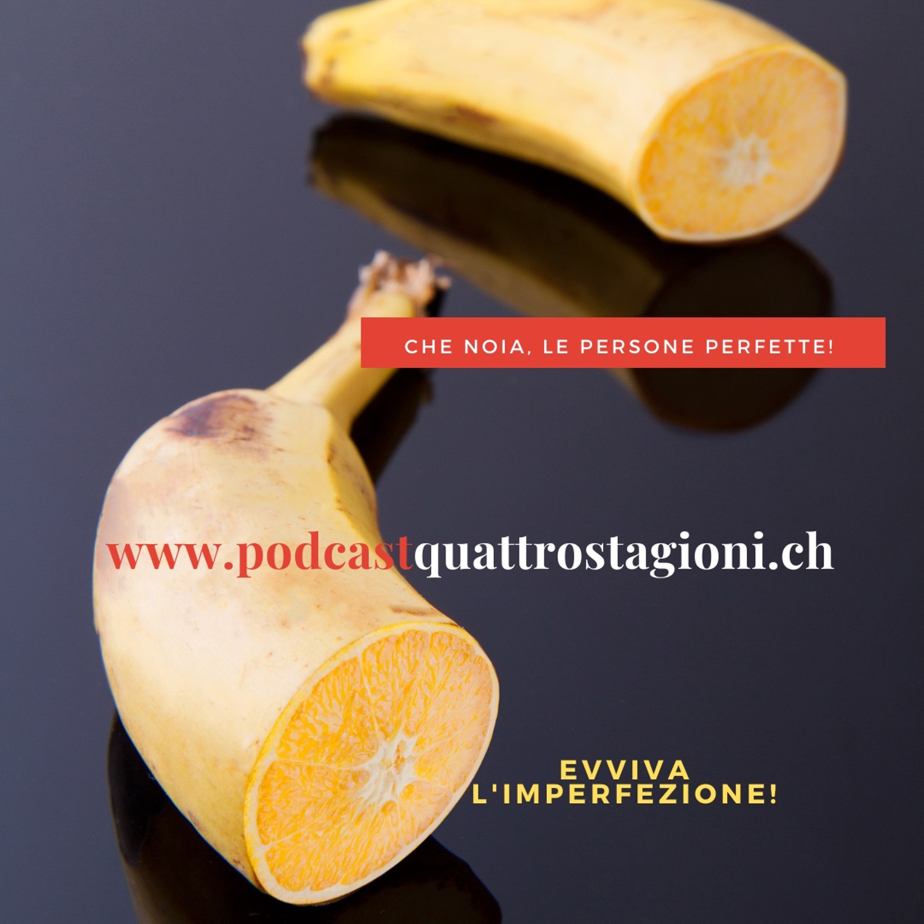 Quattro Stagioni 31 - Viva l'imperfezione! (26.11.2020)