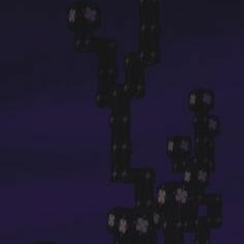 The Night Is Near