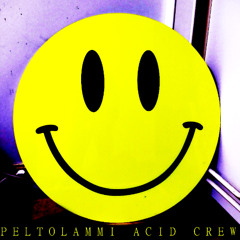 Peltolammi Acid Crew - Peltolammi Acid (ASCII Agenda Remix)