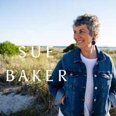 Hello my friend - Sue Baker