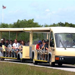 Review Special Price Shark Valley Everglades Guided Tram Tour