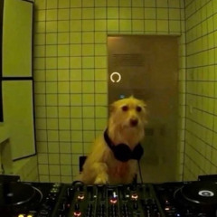 RESONATE - Shella Shed Sessions (JUMP UP/DNB)