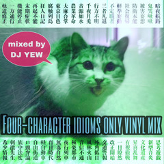 FOUR-CHARACTER IDIOMS ONLY VINYL MIX
