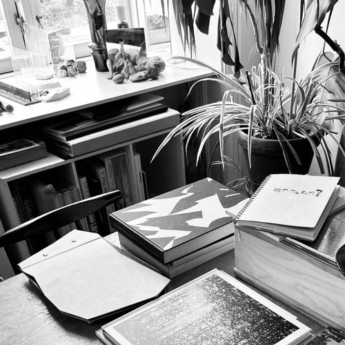 Samtale i praksis mellem Ida Marie Wedfall og Jonas Georg Christensen (2025)