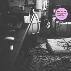 Psych Punk / Freak Folk 1